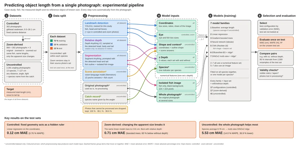 Fishometry thesis pipeline: datasets, data split, preprocessing, model inputs, models, and held-out evaluation.