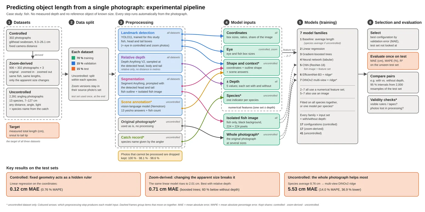 Fishometry experimental pipeline: three datasets, a protected split, landmark detection, relative depth, segmentation and scene annotation, seven model families, and test-set results